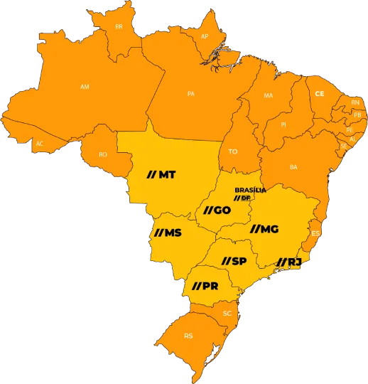 Ilustração Mapa
